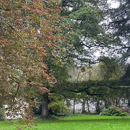 Le Chateau De John Miles Au Bord De L'Eau Suce-sur-Erdre Exterior photo
