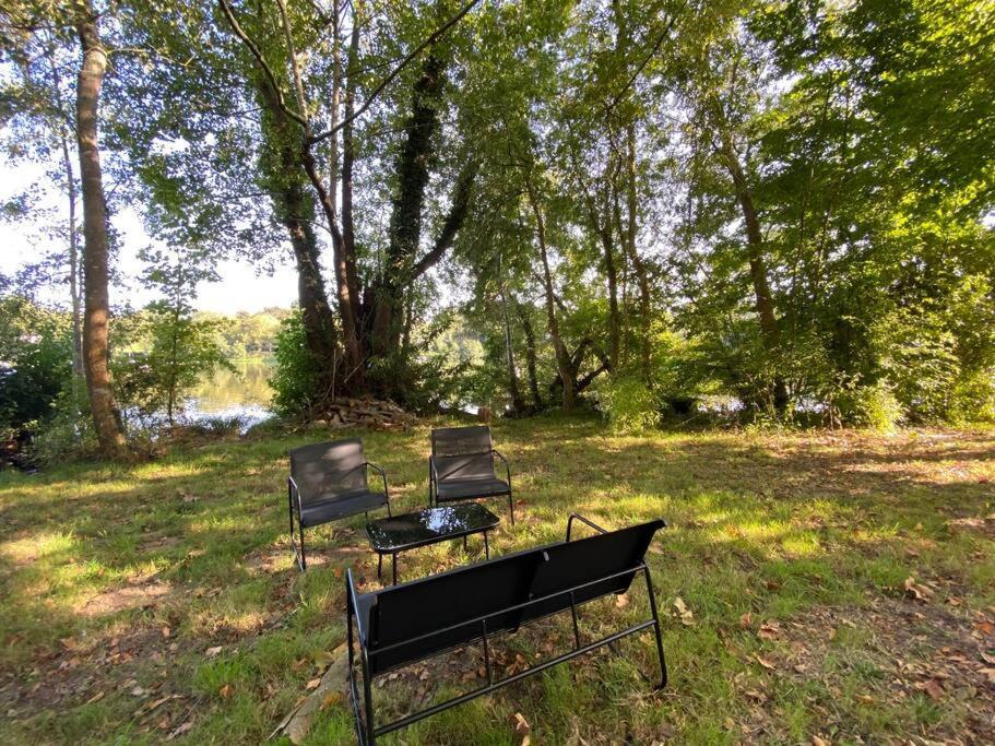 Le Chateau De John Miles Au Bord De L'eau * Suce-sur-Erdre