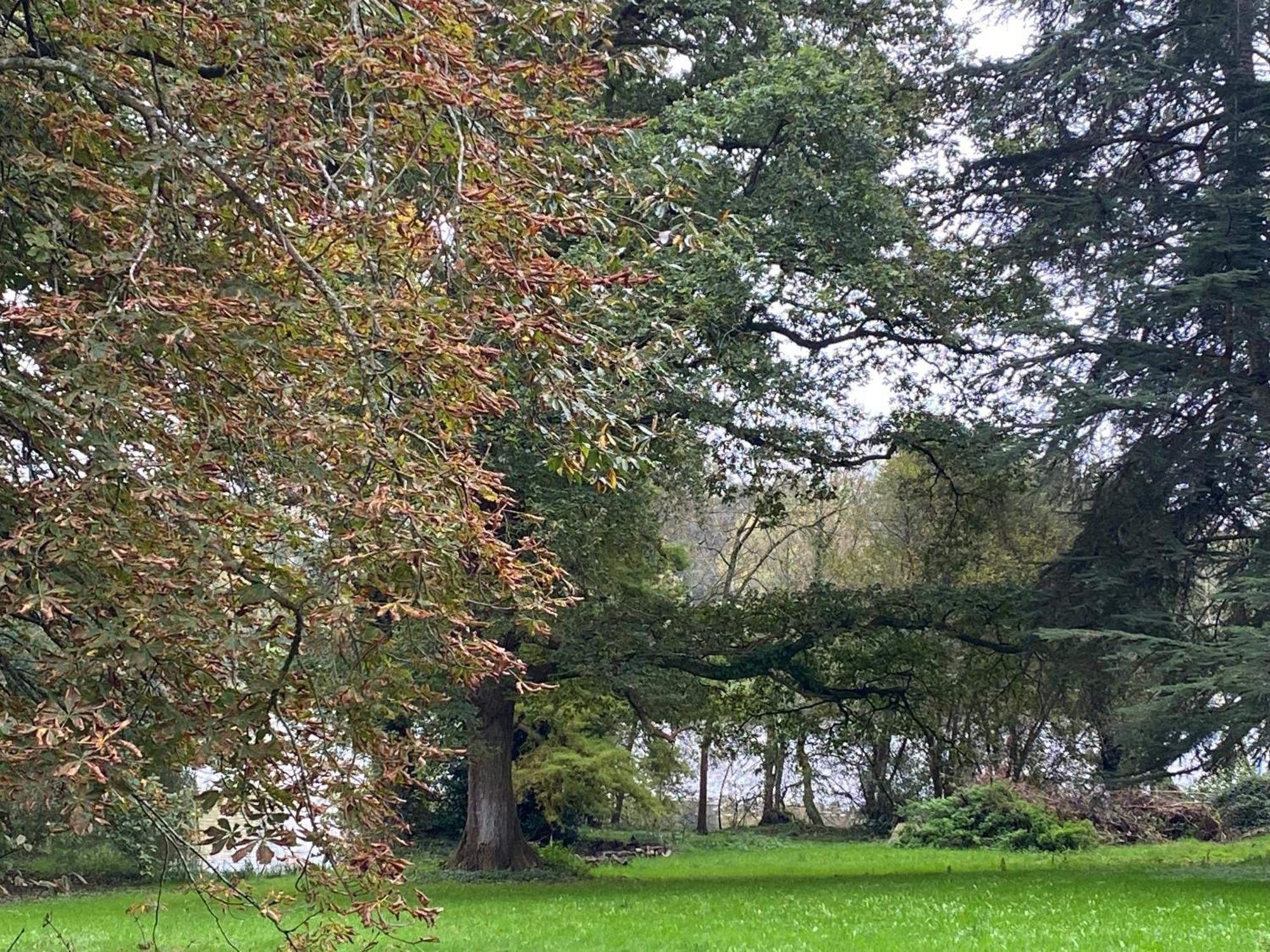Le Chateau De John Miles Au Bord De L'eau Suce-sur-Erdre